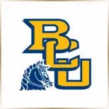 Briar Cliff University